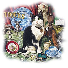 Gatto 3